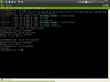 Ekaaty Linux 4u1 (Yanomami)
