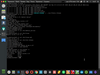 Unidockynapse CaleucheOS Linux 16.04.4