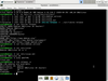 Debian GNU/Linux 10.4 (buster)