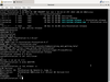Thinstation GNU/Linux 6.2.13 (Alice)