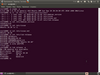 Ubuntu Netbook Edition 10.10 (Maverick Meerkat)
